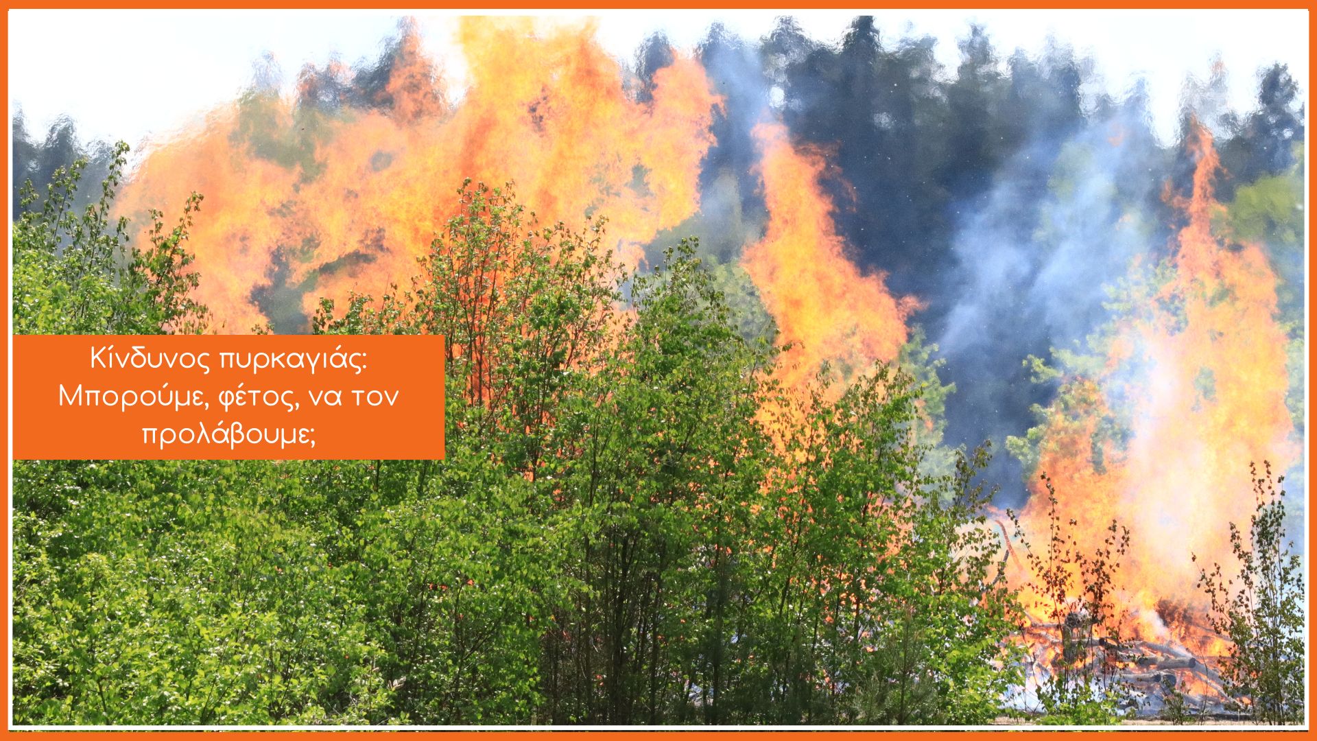 Ένα δάσος που καίγεται